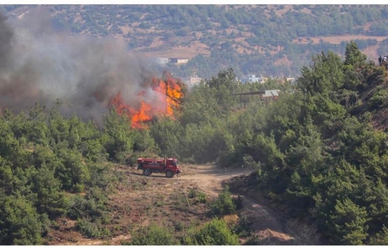 Kıbrıs'ta yangından etkilenen bölgelerde konut inşası için kampanya başlatıldı!