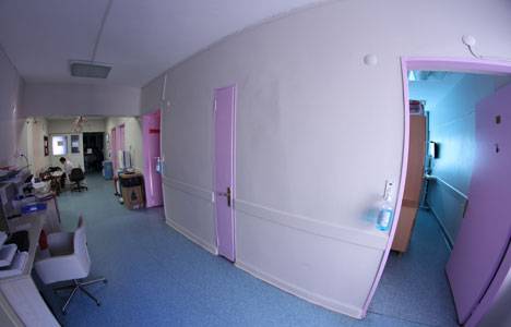 Alligator ELF serisi