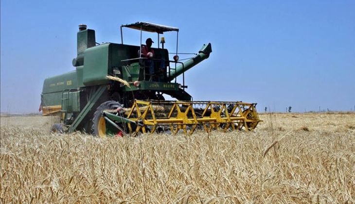 Buğday, arpa, mısır fiyatlarında Tahıl Koridoru depremi! Hangi borsada kaç lira oldu? Çiftçiler hemen bakın! 