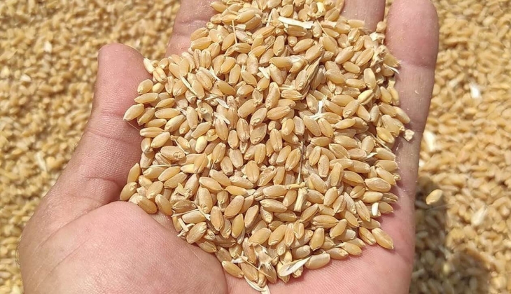 Hububat fiyatları arttı mı? 27 Mart 2023 hububat fiyatları