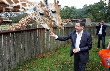 Ankara Hayvanat Bahçesi ne zaman açılıyor?