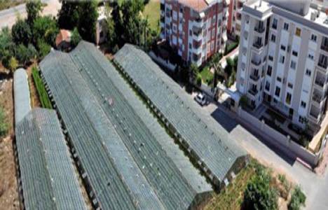 Antalya Çağlayan Mahallesi sakinleri konutların ortasındaki seranın yıkılmasını istedi!