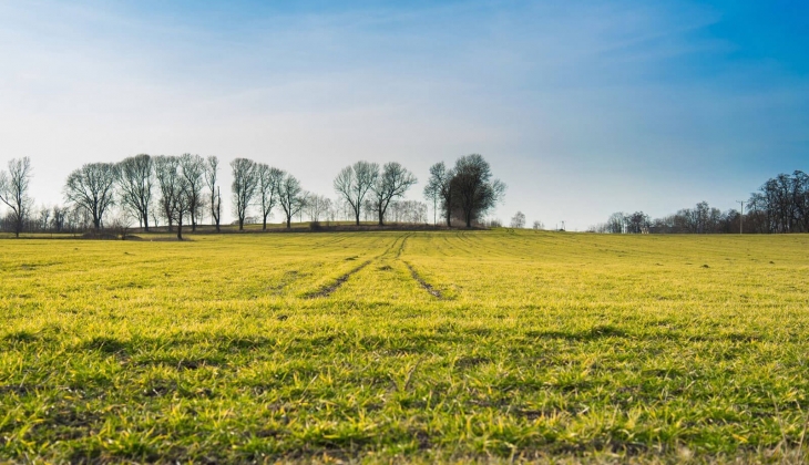 Milli Emlak, Eskişehir ve Muğla da taksitle arsa ve arazi satıyor! 341 bin TL den başlayan fiyatlarla...