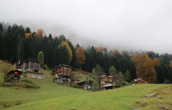 Ayder kentsel dönüşüm çalışmalarında son durum ne? 