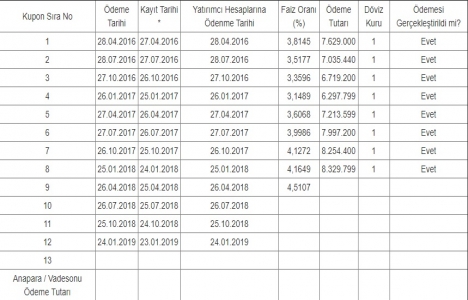 Rönesans Holding 8. dönem kupon ödemesini yaptı!