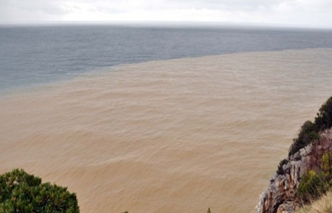 Zonguldak'ta denizde kirliliği!