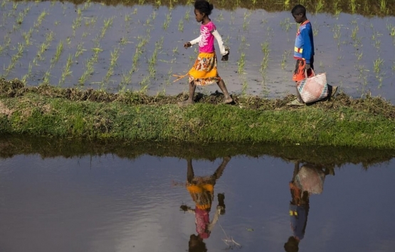 Türk müteahhitlere Madagaskar dan davet!