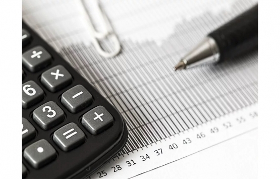 Denetçi maliklerden mi seçilir?