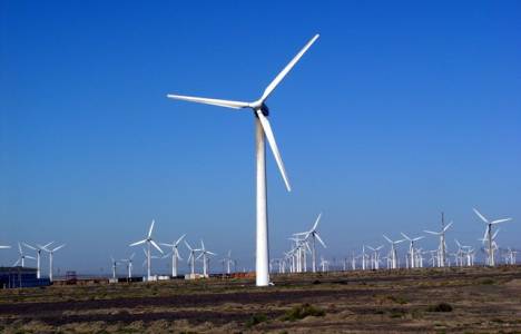 Seferihisar'a rüzgar santrali mi kurulacak?