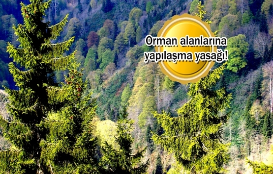 Ormanlık alanlar artık imara açılamayacak!