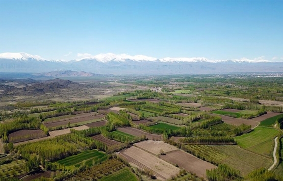 Adıyaman Besni Belediyesi'nin arsa tahsisine mahkemeden ikinci ret!