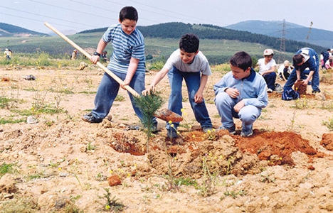 Fuzulev'den Dikili Ağacım Var kampanyasına destek!