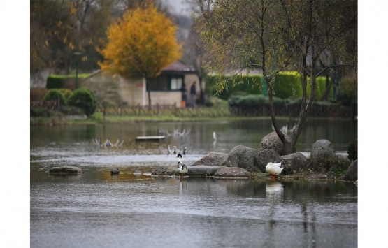 Bahçeşehir gölet projesinin ruhsatları iptal edildi!