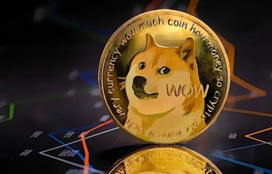 1 milyar TL lik Dogecoin vurgunu!