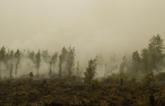 Kırda yaşamak gerçekten daha mı sağlıklı?