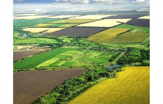 Hazine arazisi nasıl kiralanır? 