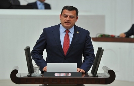 İğneada'ya 3. nükleer santrali yapılacak mı?