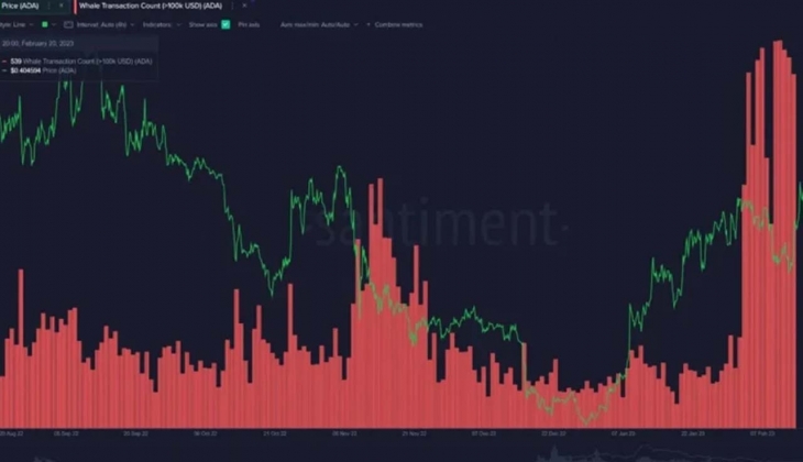 Kripto parası olanlar dikkat! Balinalarda hareketlilik başladı! İşte fiyatı artan altcoinler!