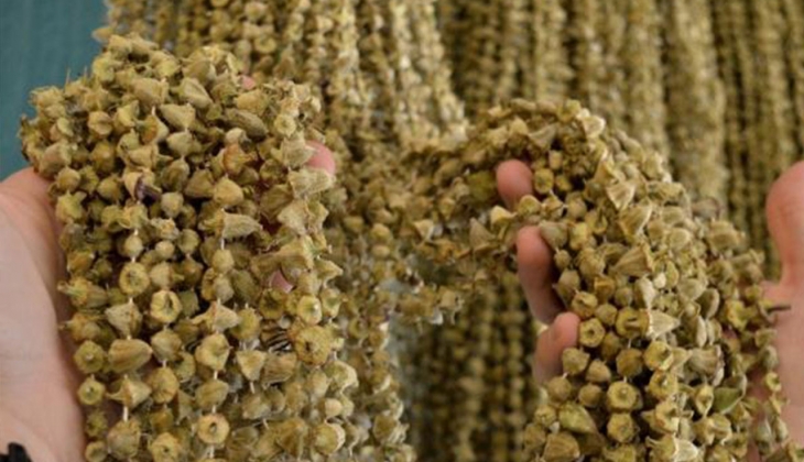 Fiyatı gram altınla yarışıyor! Ne olduğunu duyunca şok olacaksınız