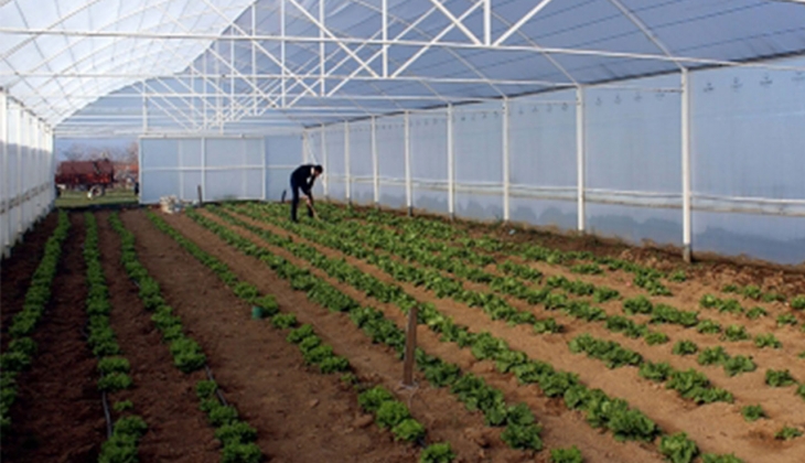 Devlet hamle yaptı! Gıda fiyatları düşüyor mu?