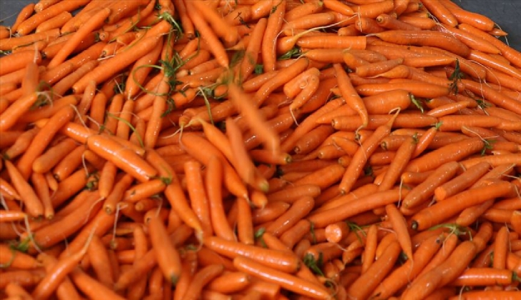 1 kilo havuç 50 TL oldu! Dernek başkanı: Bugünlerde bence yemeyelim, biz de yemiyoruz!