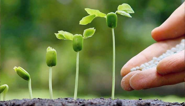 Gübre fiyatları yenilendi! İşte 21 Mart 2023 fiyat listesi