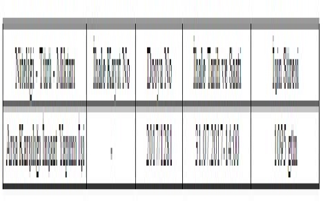 Türkiye Kömür İşletmeleri nden Soma ya 396 lojman!