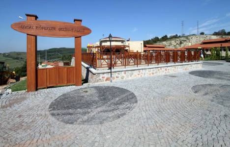 kandıra hayvan barınağı