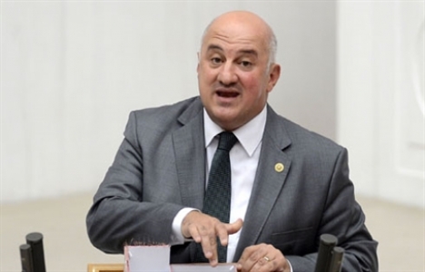 Artvin Arhavi'deki sahil dolgu alanı kime ait?