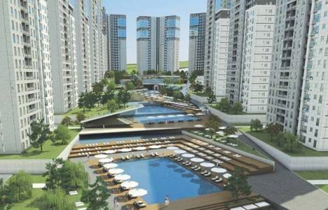 İnnovia 4 resimleri!