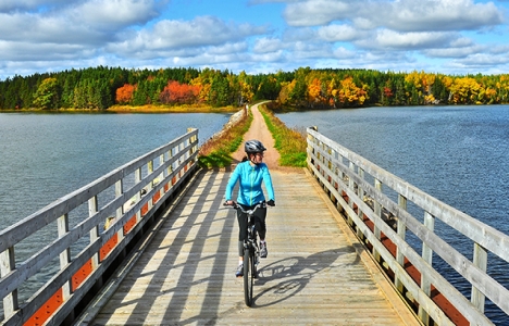 Dünyanın en uzun bisiklet yolu Kanada'da inşa ediliyor!
