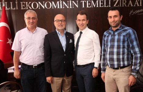 toplulaştırılan araziler