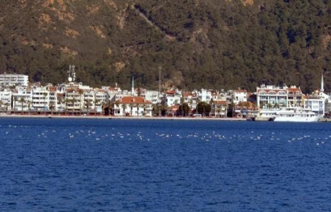 Muğla Marmaris'teki 5 bina yıkılacak!