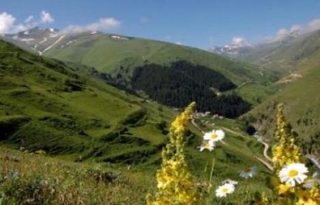 Yeşil Yol projesi ile yaylalar birbirine bağlanacak! 
