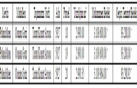 Palandöken de satılık 3 arsa ihalesi 27 Aralık a ertelendi!