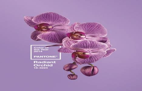 Pantone 2014'ün rengini açıkladı: Işıltılı orkide!
