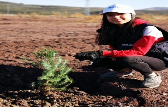 Limak’ın Yeşil Dönüşüm Ormanları şimdi de Bursa’da kök salacak!