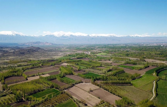 GAPAS Serbest Kürsü Pandeminin Gözde Yatırım Aracı; Arsa - Arazi etkinliği 24 Şubat ta!