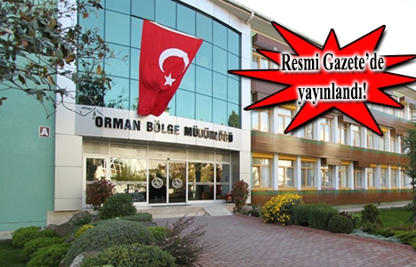 Ankara Orman Müdürlüğü'nden 46 milyon TL'lik inşaat ihalesi!