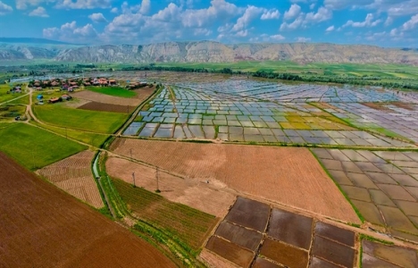 3 ilde arazi toplulaştırma kararı!