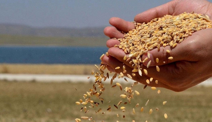 Buğday fiyatları farkı açıyor! Çiftçiler şimdi son dakika rakamlarına bakın! Borsalarda deprem!