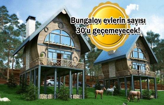 Mesire alanlarına 'bungalov' ayarı!