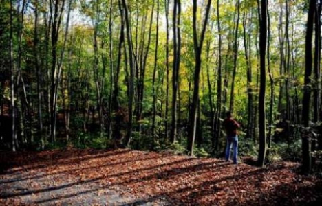 Amenajman planı nedir