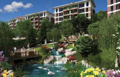  Fuaye Turkuaz projesi!