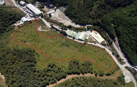 Park Orman Tabiat Parkı projesinde yeni gelişme!