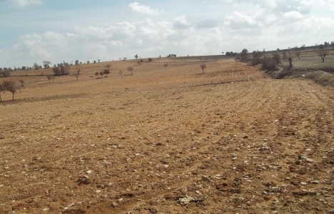 Tarım arazileri bölünebilir mi?