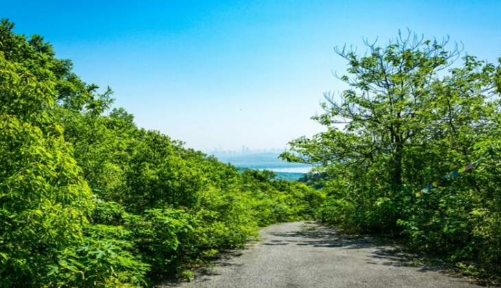 Belediyeler Manisa ve Kırşehir’de 98 bin 900 TL’den başlayan fiyatlarla arsa satıyor!