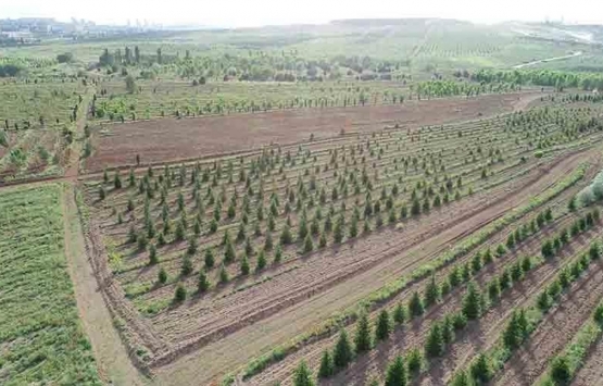 Tezcan Karakuş Candan dan AOÇ arazisindeki kiralamaya tepki!