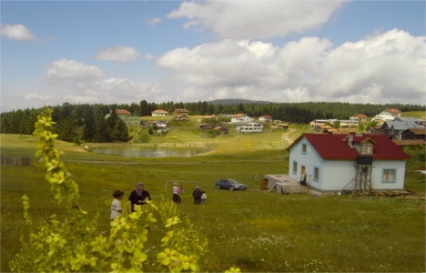 Mustafa Allar kimdir