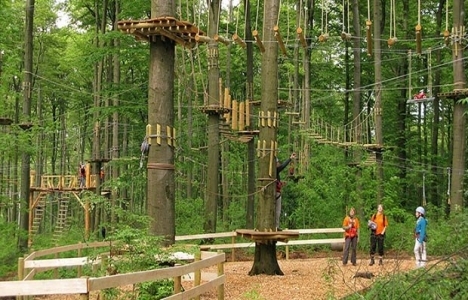 Marmaris'e Botanik Park-Bitki Müzesi yapılacak!